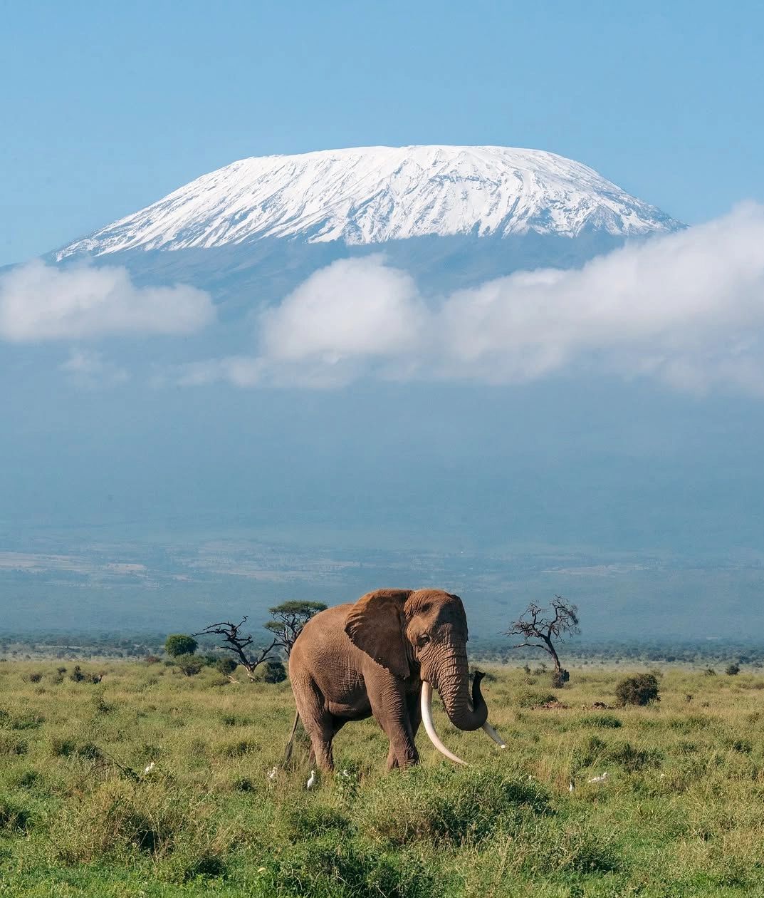 Amboseli, Southern Kenya